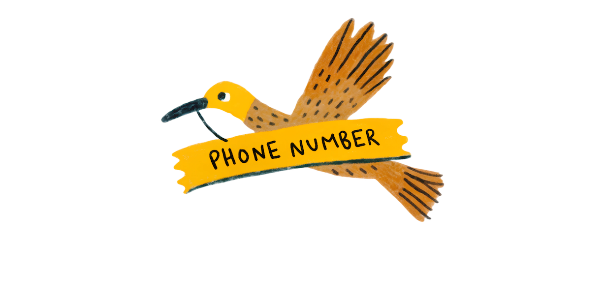 Bird carrying a phone number illustration