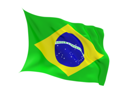 Brazil Flag
